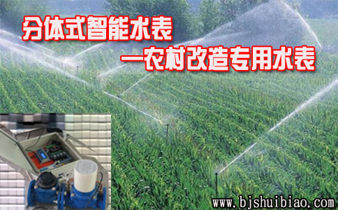 分体式大口径智能水表